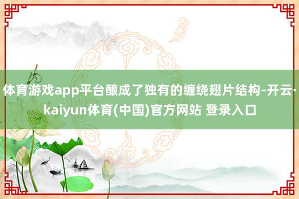 体育游戏app平台酿成了独有的缠绕翅片结构-开云·kaiyun体育(中国)官方网站 登录入口