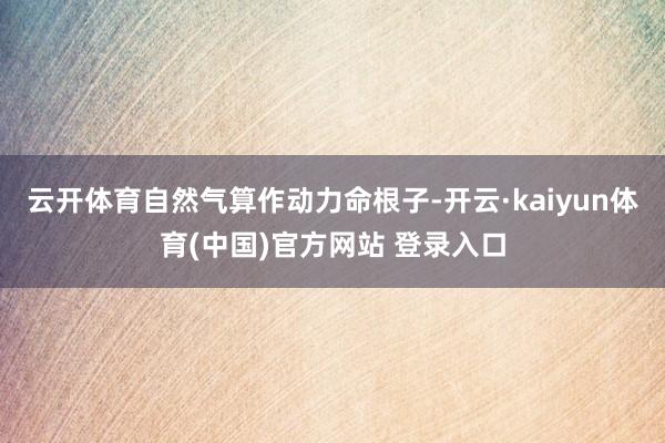 云开体育自然气算作动力命根子-开云·kaiyun体育(中国)官方网站 登录入口