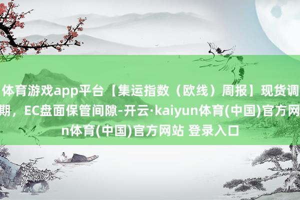 体育游戏app平台【集运指数（欧线）周报】现货调放慢度超预期，EC盘面保管间隙-开云·kaiyun体育(中国)官方网站 登录入口