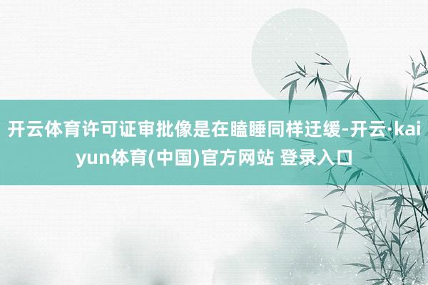 开云体育许可证审批像是在瞌睡同样迂缓-开云·kaiyun体育(中国)官方网站 登录入口