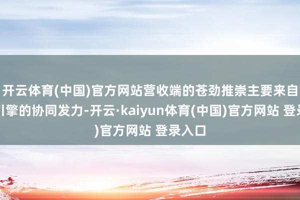开云体育(中国)官方网站营收端的苍劲推崇主要来自两个引擎的协同发力-开云·kaiyun体育(中国)官方网站 登录入口