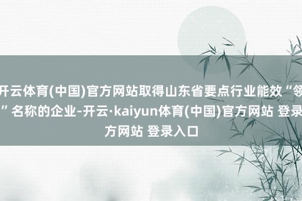 开云体育(中国)官方网站取得山东省要点行业能效“领跑者”名称的企业-开云·kaiyun体育(中国)官方网站 登录入口